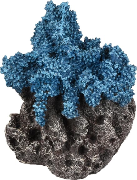 Flamingo - Aquarium Floralia koraalrots - Blauw - 10 x 8 x 15 cm