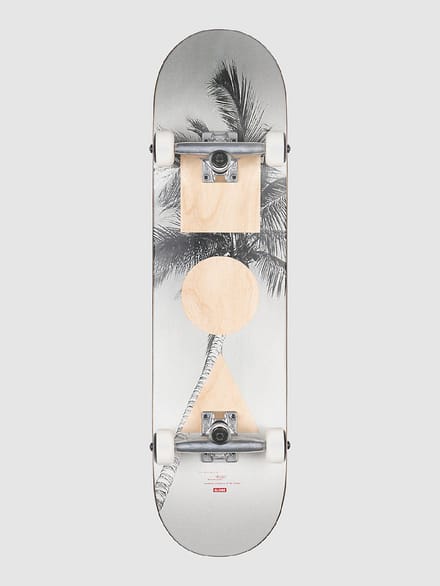 Globe G1 Stack - Lone Palm 8.00 Skateboard