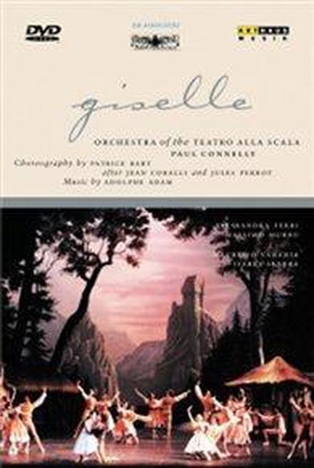 Adam - Giselle