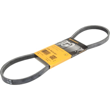 Continental Ctam V-riem CONTINENTAL 4PK906 ELAST