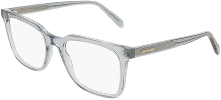 Ferragamo SF3067 Transparent grey 54/20/145 MAN Brilmonturen