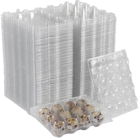 Allecto - 50 Stuks Kwarteleierdoosjes - Duurzaam en Transparant