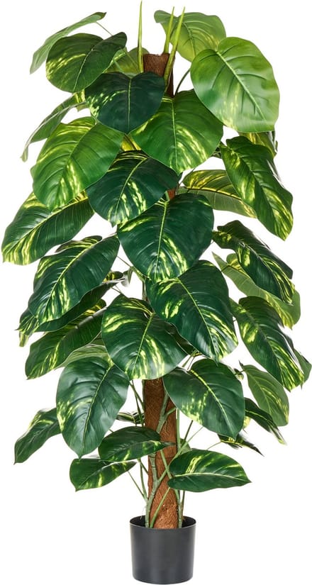DIEFFENBACHIA - Kunstplant - Groen - 152 cm - Synthetisch materiaal