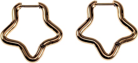 ∅22mm Ster Oorbellen Dames - Verguld RVS - Oorringen