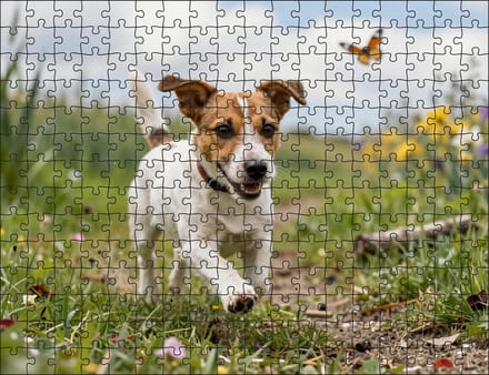 Puzzel Jack Russell in de heide | 252 stukjes | Dierenpuzzel | Hondenpuzzel