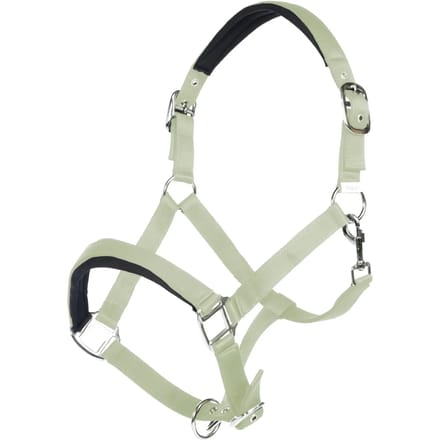 Halster voor paarden HKM Catherine