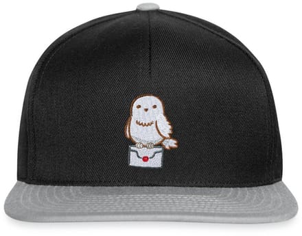 Harry Potter Hedwig Met Letter Borduurmotief Snapback cap