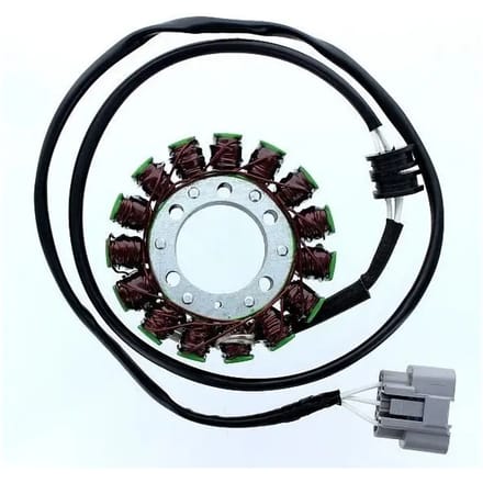 Originele aanpasbare motor dynamo Electrosport Yamaha