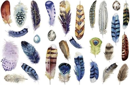 Stickerset Veertjes - 3 vellen - Sticker Feathers - Stickers Veren
