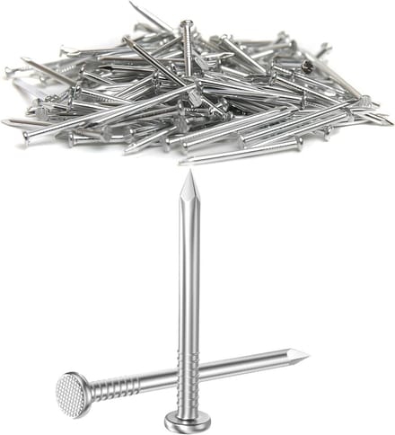 Set van 50 RVS Spijkers 25 mm voor Hout, Metselwerk en Gips