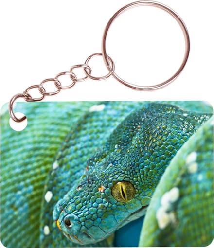 Sleutelhanger 6x4cm - Boompython Groenblauw Slang