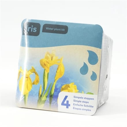 Moerings - Droogverpakking vijverplant - gele iris