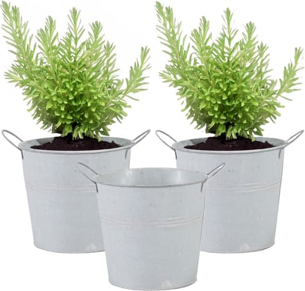 Mega Collections Emmer/plantenpot/bloempot - 3x - zink - whitewash - D16 x H14 cm