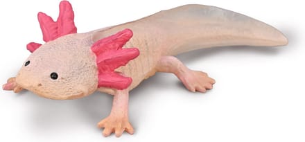 COLLECTA Figurine - Axolotl - (M) - Prehistorie - Handgeschilderd - Miniatuur