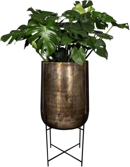 Pot voet kya d58h129cm darkroast