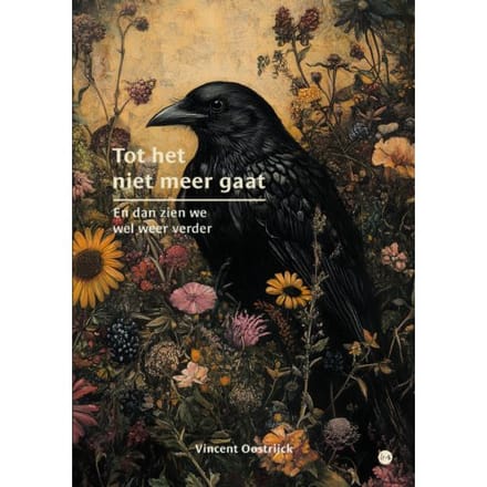 Tot Het Niet Meer Gaat - Vincent Oostrijck