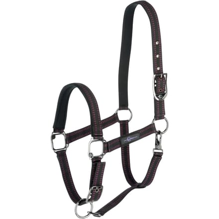 Halster voor paarden Covalliero Royal