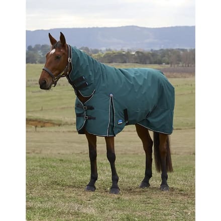Outdoor paardendeken Weatherbeeta Comfitec Classic 50g