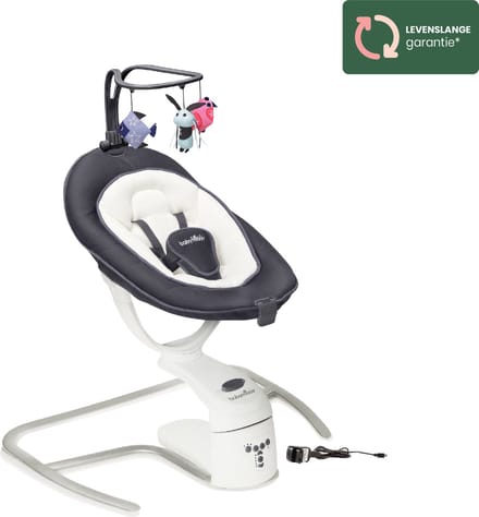 Babymoov Swoon Motion Zinc
