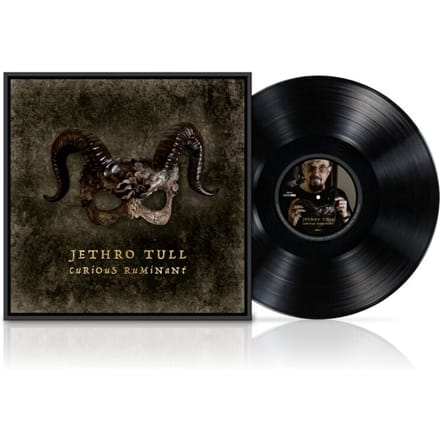 Jethro Tull LP - Curious Ruminant - voor Geen - standaard