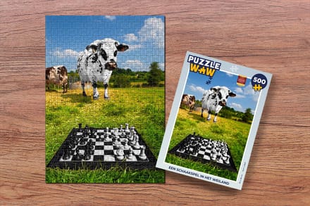 Puzzel Een schaakspel in het weiland - Legpuzzel - Puzzel 500 stukjes