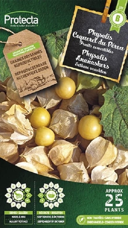 Protecta Groente zaden: Physalis ananaskers