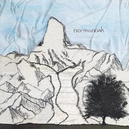 Normanoak - Born A Black Diamond (CD)