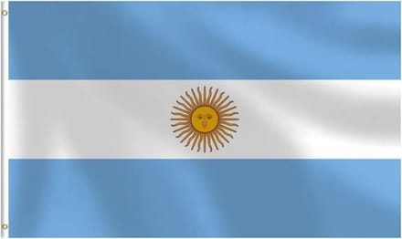 Go Go Gadget - Argentijnse Vlag - 90x150cm - Argentinië
