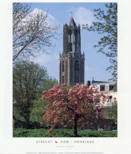 Dom (voorjaar) - Herman van Doorn - Utrechtse Poster - 24 x 30 cm