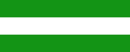 Vlag Hasselt 200x300cm