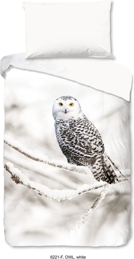Snowy Owl