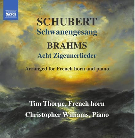 Tim Thorpe, Christopher Williams - Schwanengesang | Acht Zigeunerlieder (CD)