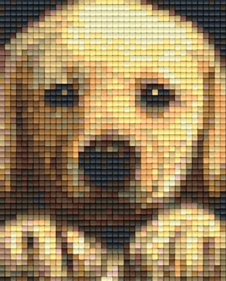 Pixelhobby geschenkverpakking - Goldenretriever Puppy