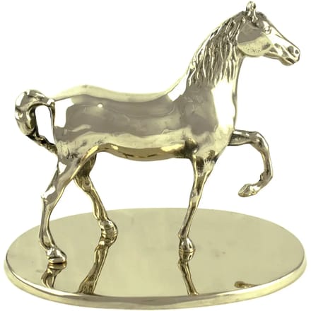 Messing trofee Umbria Equitazione