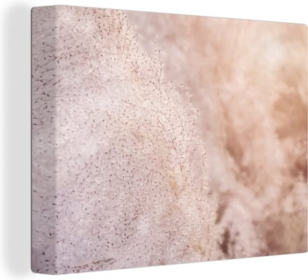 Canvas Schilderij Pampasgras - Structuur - Planten - Natuur - 80x60 cm - Wanddecoratie