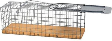 Ratten vangkooi
