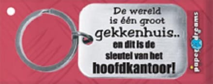 Paper Dreams | RVS Sleutelhanger | De wereld is een groot gekkenhuis!