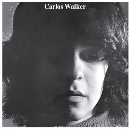 A Frauta De Pa