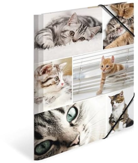 Verzamelmap A4 Dieren Katten voor Kinderen - Stabiele Kartonnen Omslagmap met Elastiek