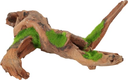Zolux Groeiend Decor Malaysia Root M - Aquarium - Ornament - 29.9x15.4x13.4 cm
