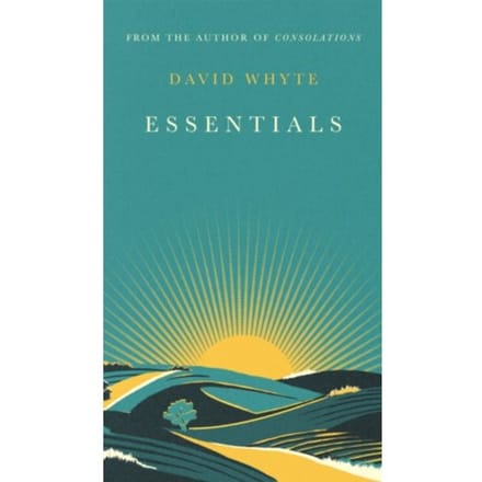 Essentials by David Whyte Hardback Boek 9781838858124