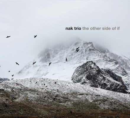 Other Side Of If - Nak Trio