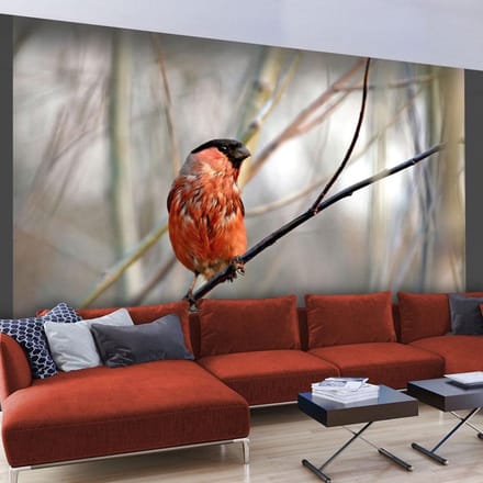 Fotobehang - Bullfinch in the forest