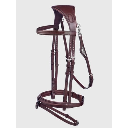 Anatomische hoofdstellen Equiline JP