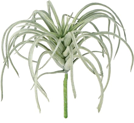Tillandsia succulente kunstgroene planten 13cm