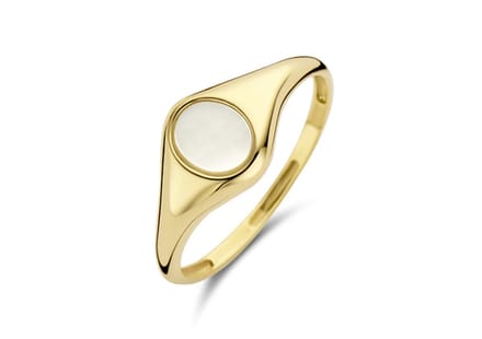 Blush Dames Ring Goud - Goudkleurig - 16.50 mm / maat 52