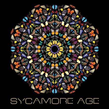 Sycamore Age - Sycamore Age (LP) (Limited Edition)
