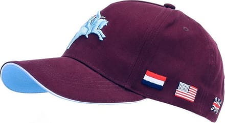 Baseballcap Airborne Pegasus 3D