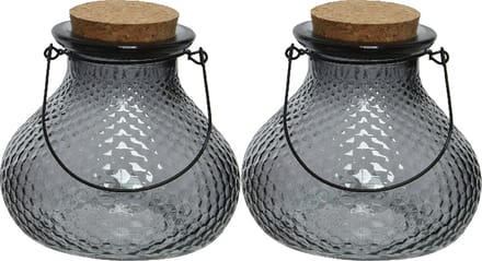 Decoris wespenvanger/wespenval - set 2x - glas - grijs - D14 x H13 cm