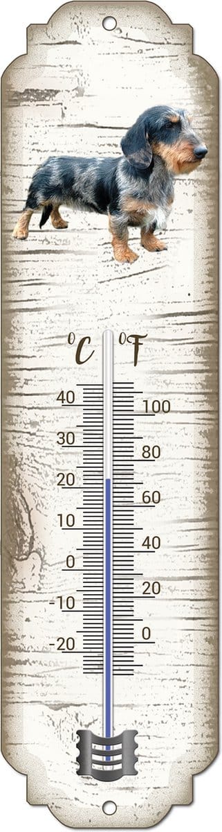 Thermometer: Gevlekte Teckel | Hondenras | Temperatuur binnen en buiten | -25 tot +45C